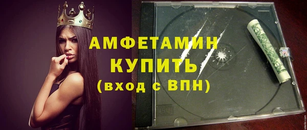 индика Надым