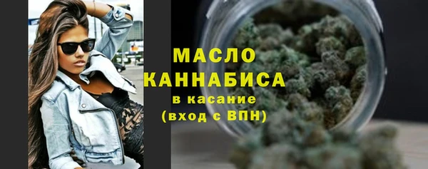 индика Надым