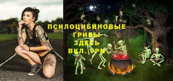 гидра Туринск