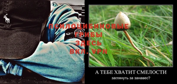 крисы Михайлов