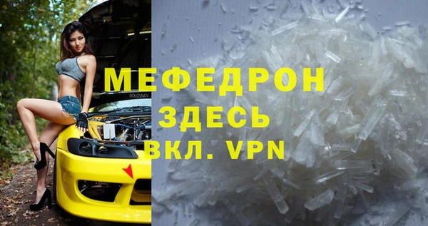 индика Надым