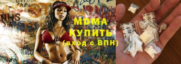 индика Надым