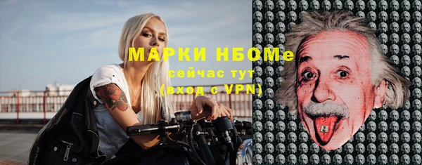 индика Надым