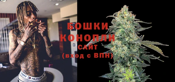 индика Надым