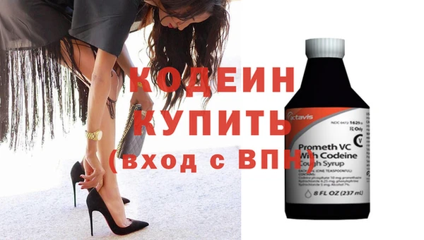 индика Надым