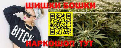 МДПВ Камышлов
