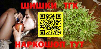 МДПВ Камышлов