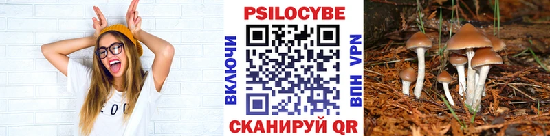 Псилоцибиновые грибы ЛСД  Моздок 