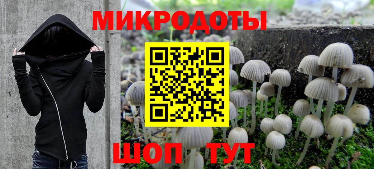 Галлюциногенные грибы мицелий Моздок