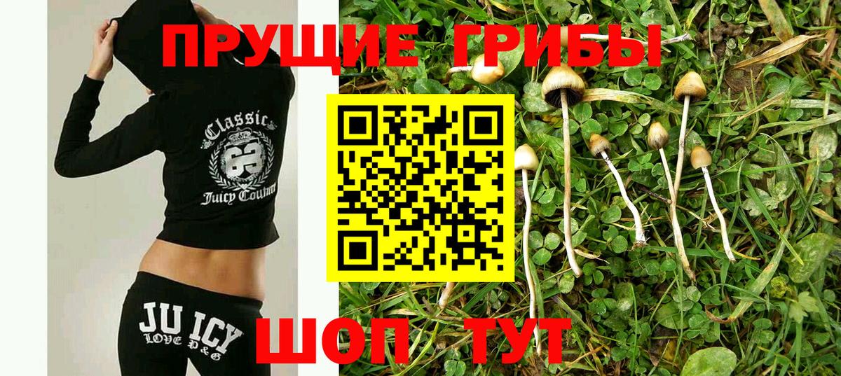 Моздок  Псилоцибиновые грибы ЛСД  закладки  Вход с VPN 