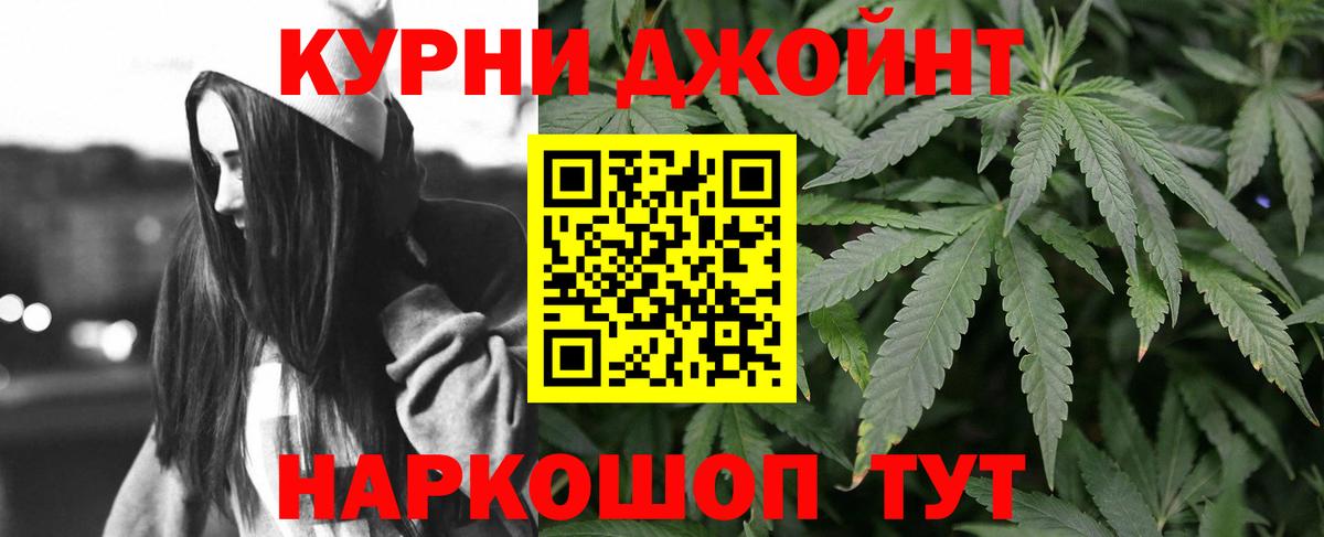 Конопля сатива  Конопля MAZAR  Моздок 