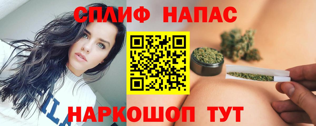 Конопля гибрид Моздок